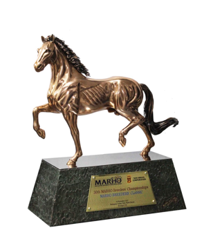 Marho - An Enduring Legacy 