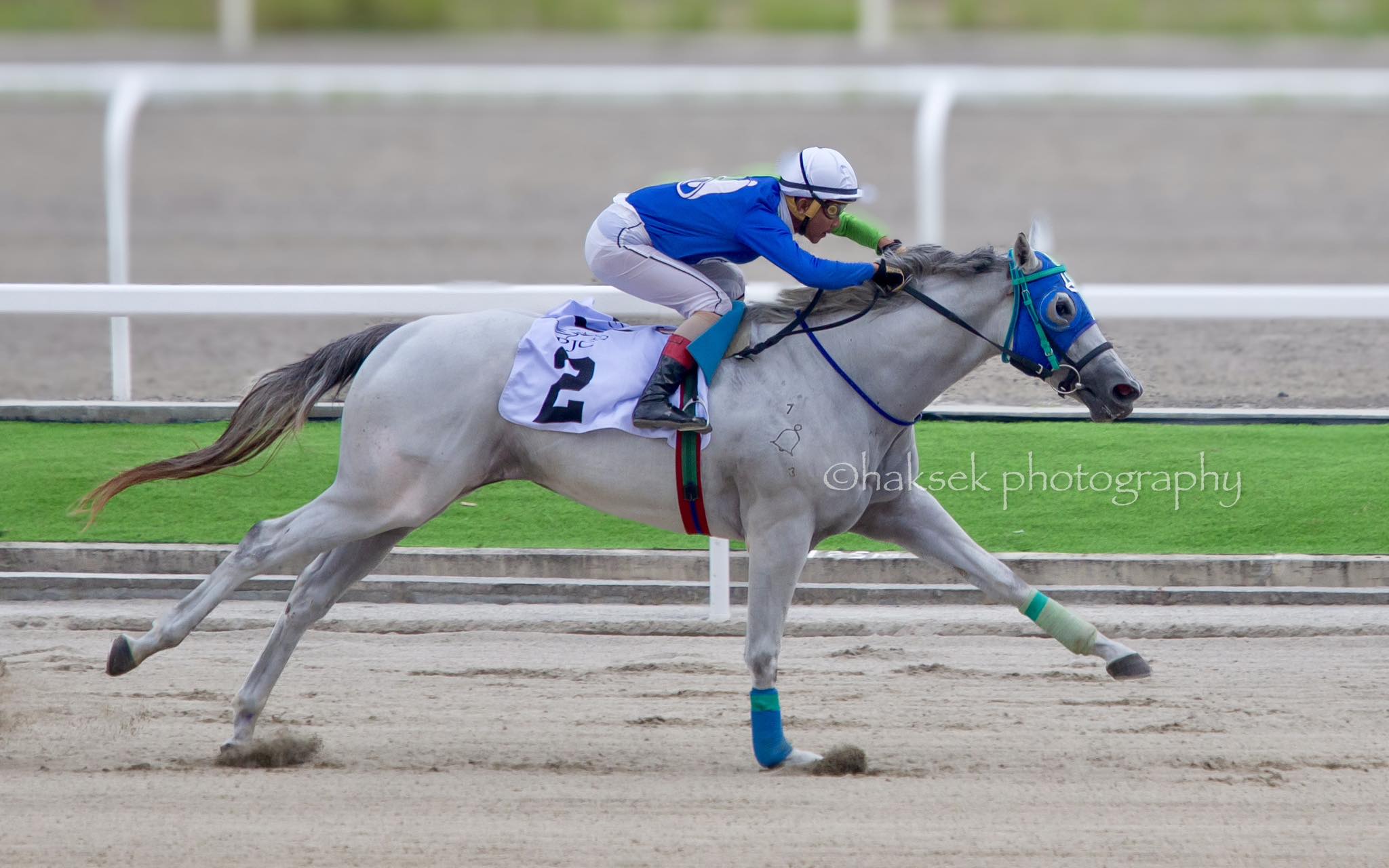 Fillies To Dominate Sunday’s Juvenile Stakes Race.