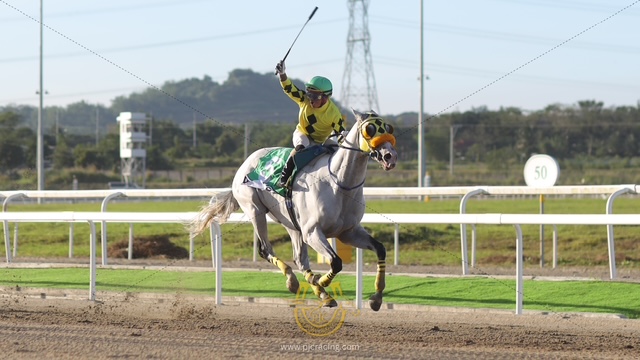 PJC - Racing into The Year of the Horse