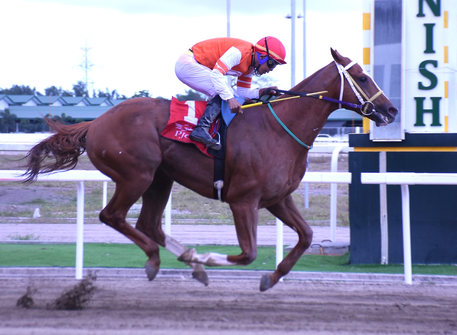 Feng Shui the Chi for Lucency 