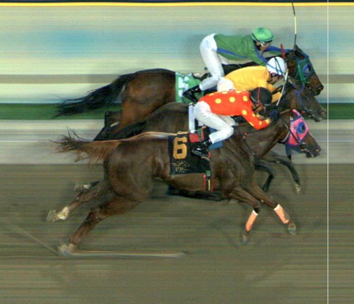 The Camera Doesn’t Lie.