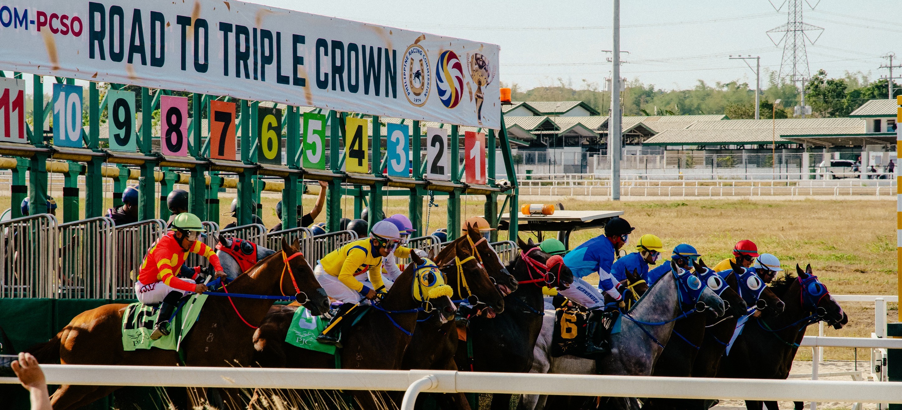 Black Eagle Flies in Road to Triple Crown