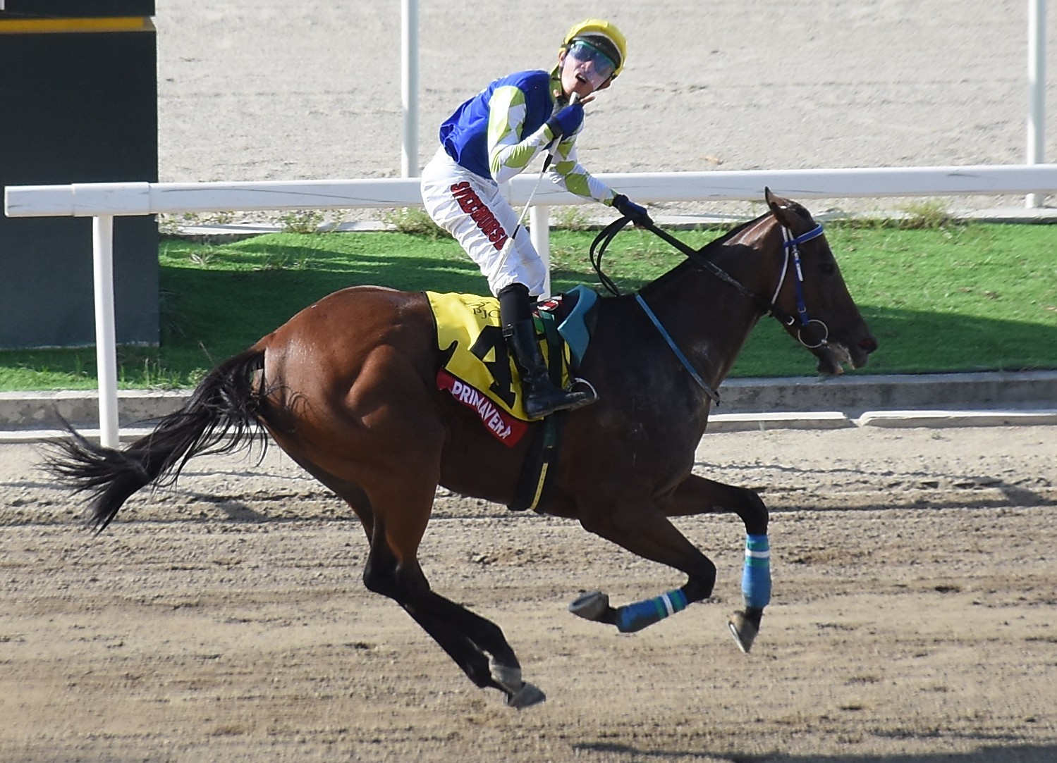 Primavera Dominant in Chairman's Cup II
