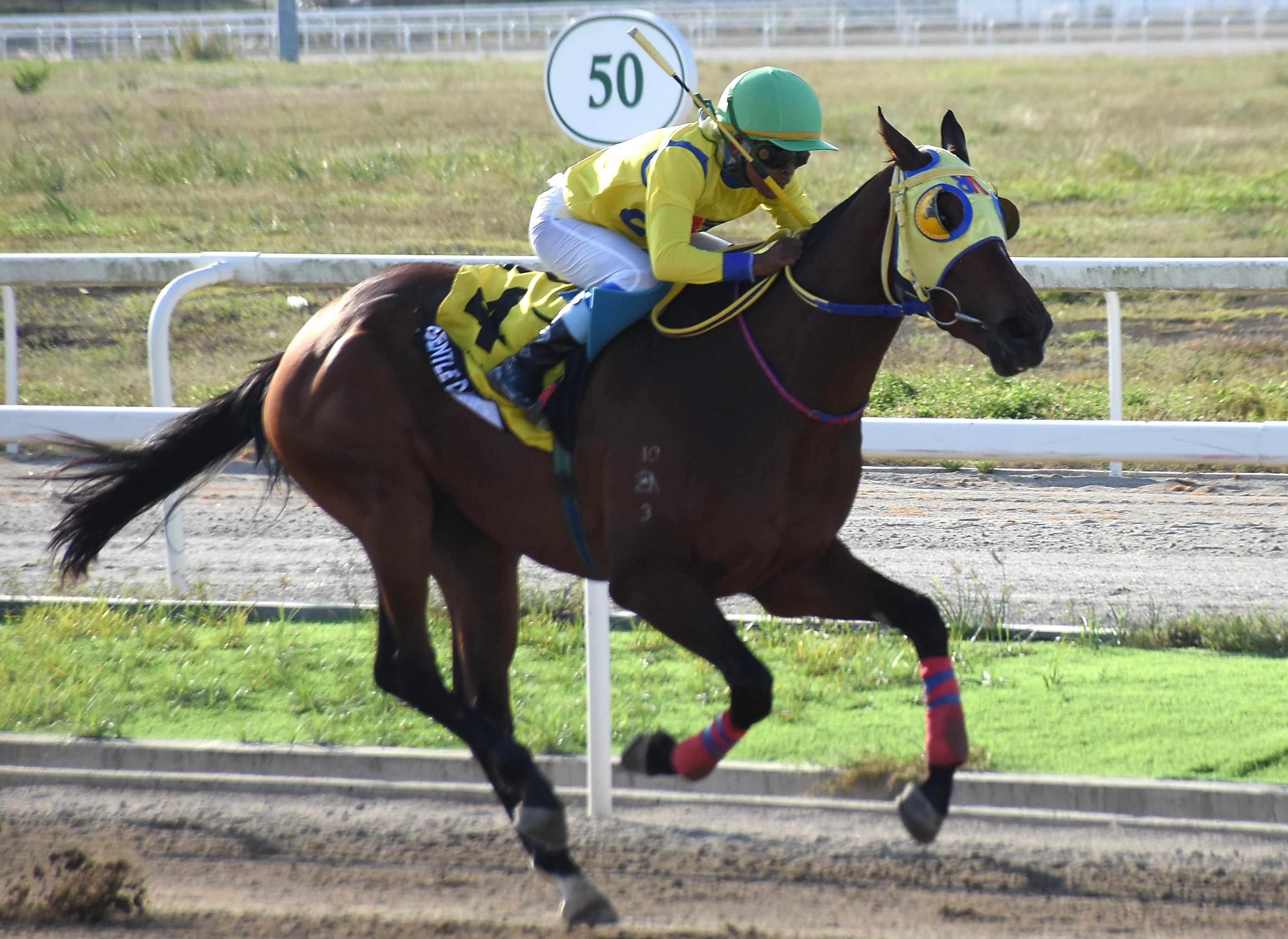 Gentle Dance Waltzes in with Second Leg Triple Crown