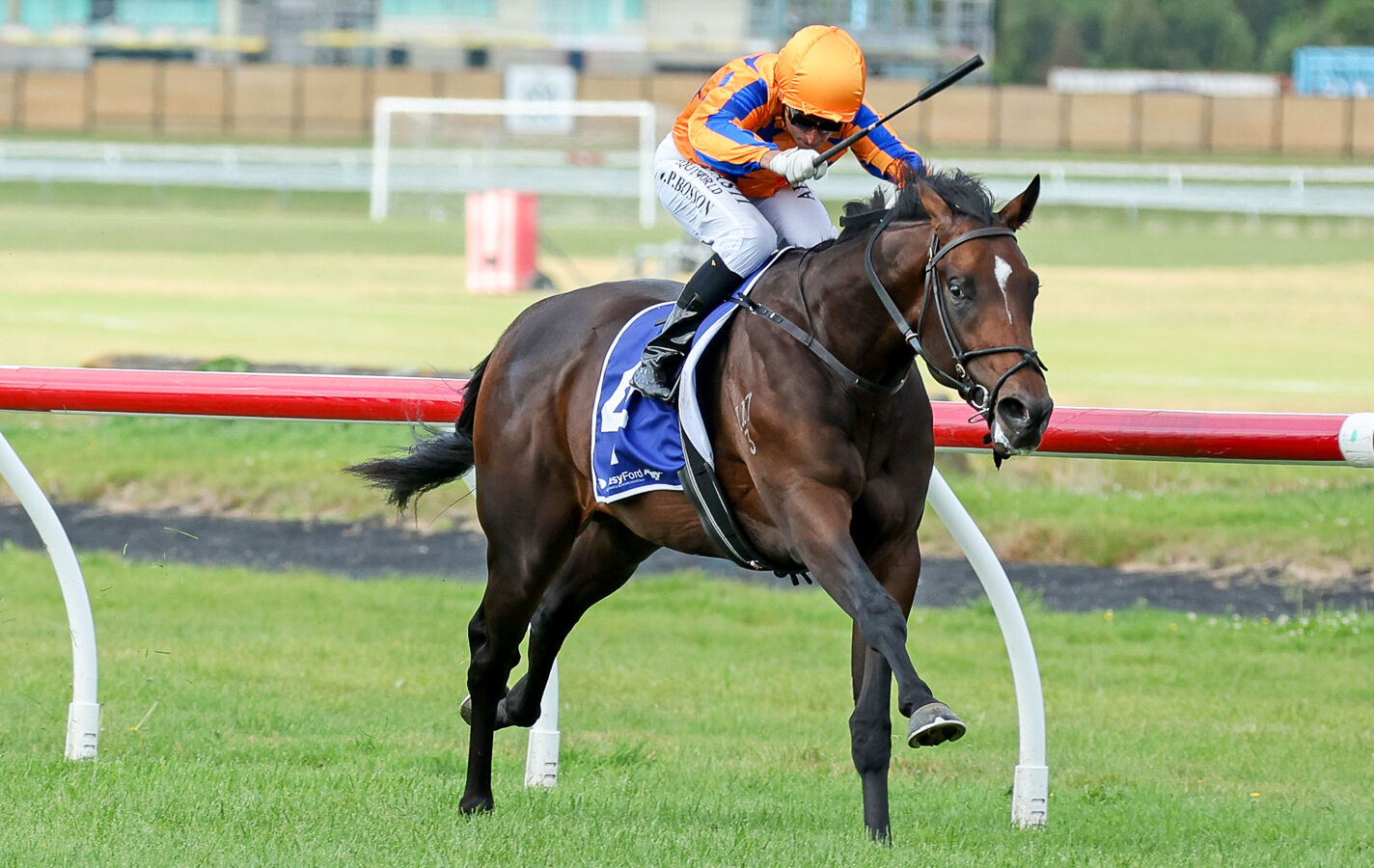 Australian Shipment a Great Boost to PJC