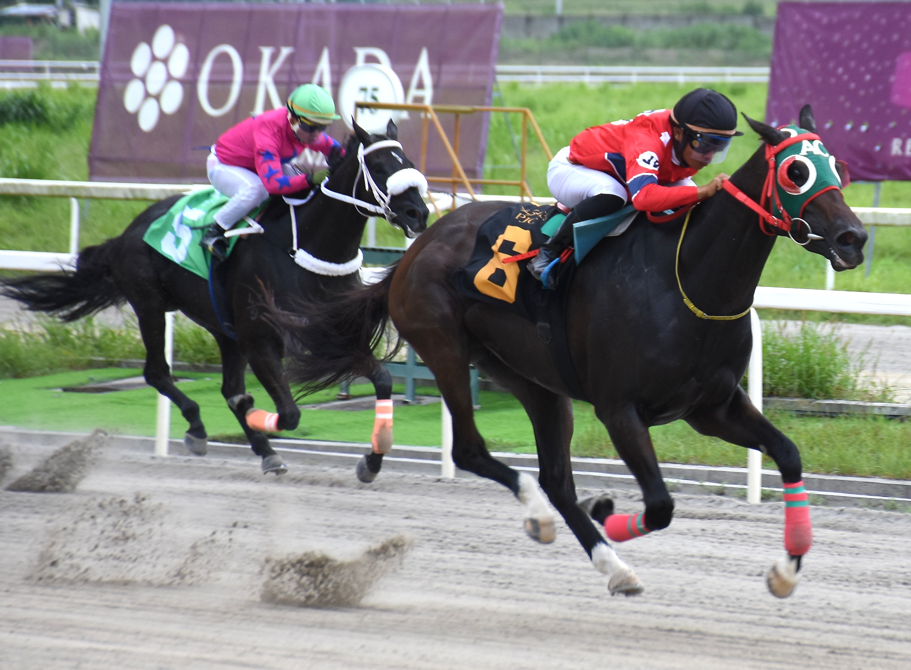 Lisca Bianca’s Okada Golden Sprint.