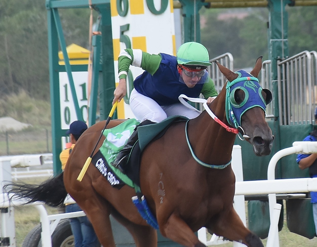 Circus Crowd to Continue on her Winning Way