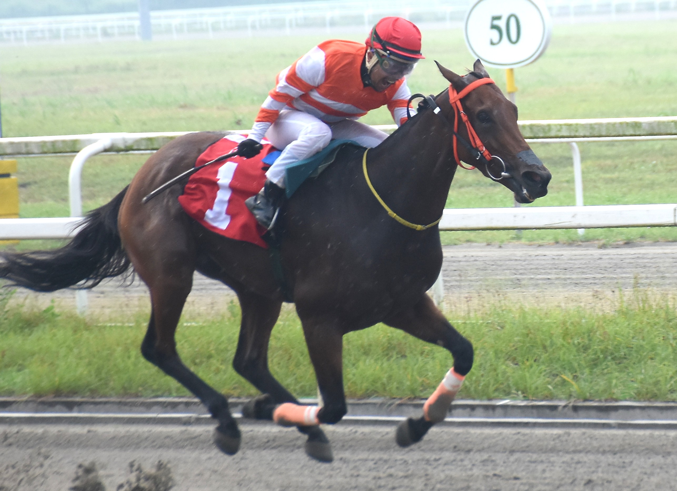 Alvarez Steals the Show on Vinalot Eyu