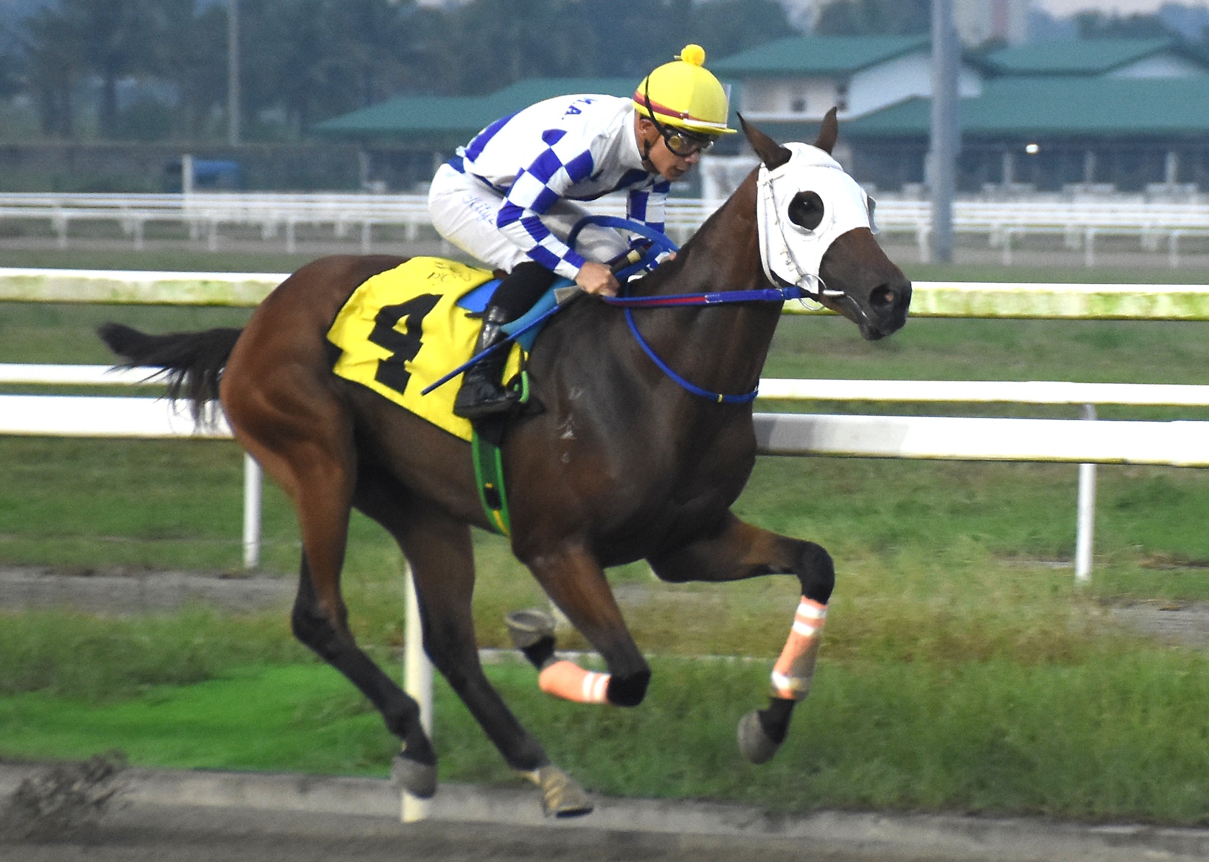 The Extraordinary Story behind Sanford’s Juvenile Stakes Win